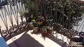 Готовка у Лейлы,она ждёт гостей.