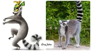 Madagascar Characters In Real Life | Part 2 💥