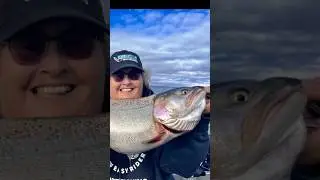 GIANT TROUT  on Swimbaits at #pyramidlake