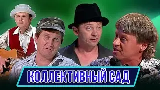 Номер Коллективный сад – Концерт От томата до заката