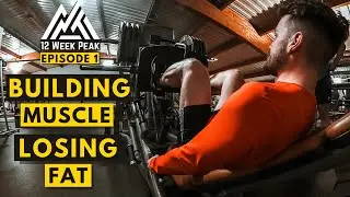 My 12 Week Plan to Build Strength While Losing Fat | The 12 Week Peak