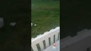 енут совсем не тот стал
