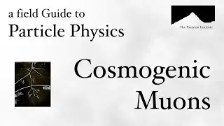 A Field Guide to Particle Physics : Episode 2 : Cosmogenic Muons
