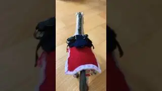 Schleich horse short video