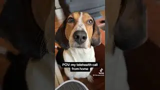 My Telehealth call from home