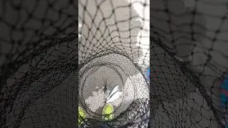 хорошая 