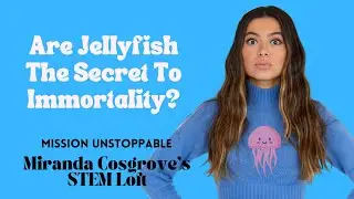Jellyfish Can Live Forever? | Get to know the Immortal Jellyfish