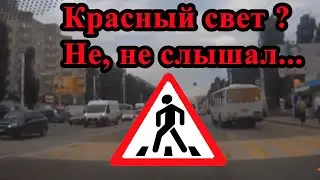 Одинокий "ковбой" против системы на пешеходном переходе. Воронеж.
