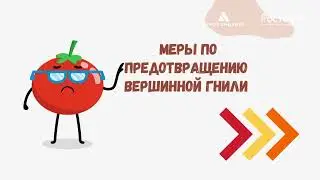 АКАДЕМИЯ РОЗОВОГО ТОМАТА Лекция 7