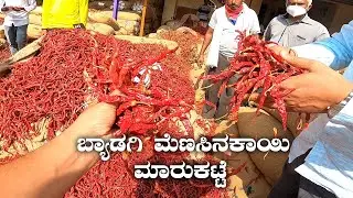 Byadagi Menasinakayi Market ಬ್ಯಾಡಗಿ ಮೆಣಸಿನಕಾಯಿ ಮಾರುಕಟ್ಟೆ Byadagi Chillies | Kannada Vlogs