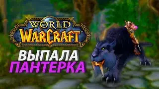 Реакция на выпадение пантеры World of Warcraft