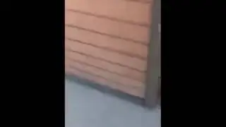 Приколы.