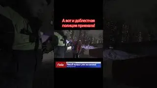 А вот и доблестная полиция приехала! #дтпичп #automobile #авария #прикол #полиция #новости #топ