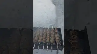 жарю шашлычки.