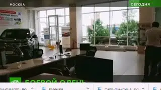 Что делал олененок в автосалоне
