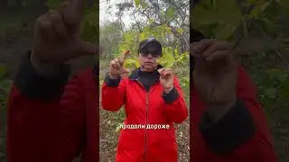 Выгодно пенсионеру инвестировать на ИИС типа Б? 