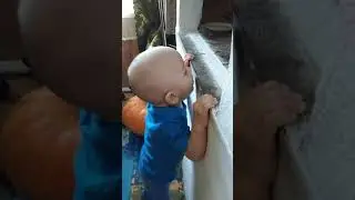 VID 20200329 153850