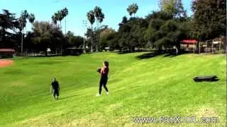 Tough Mudder Training Workout Coach Rollie Fat X 101