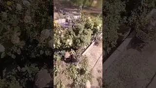 Да и пусть лачуга, зато любимая 😘/делаем дому новые глазки