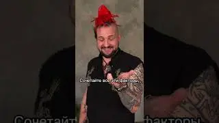 Дисциплина или вдохновение?