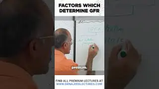 Factors which Determine GFR   