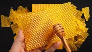 ASMR Best Collection for 100% Guaranteed Sleep ⭐ (No Talking)