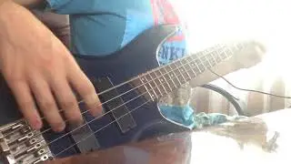 Red Hot Chili Peppers - Suck my kiss Bass Cover