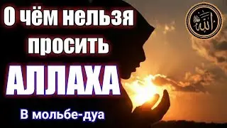 О чем нельзя просить Всевышнего АЛЛАХА ☝