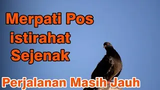Merpati Post istirahat di tengah perjalanan