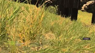 Rust неудачный рейд