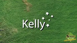 What is the Kelly Tillage System