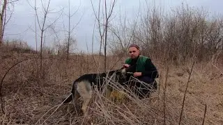 С СОБАКОЙ В ЛЕС НА "ТИХУЮ" ОХОТУ ЗА КРАПИВОЙ!!! ПРИХОДИТ ВЕСНА!!!