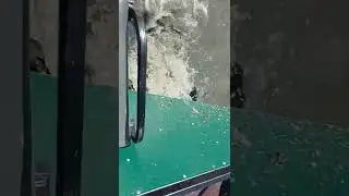 первый заплыв на тунгусе