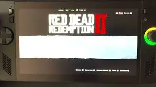 Red Dead Redemption 2 on Rog Ally X | Graphics Settings, FPS