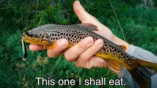 Fishing in Norway: Trout Everywhere!