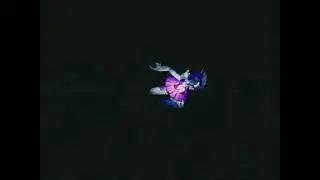 Spider Gallery