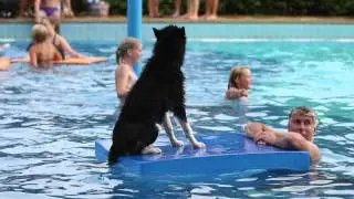 Doggyplons - Howling Husky