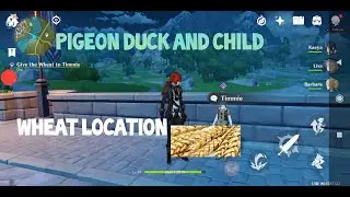 Genshin Impact Wheat Location - Pigeon Duck And Child Quest