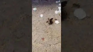 Праздничный обед!!!