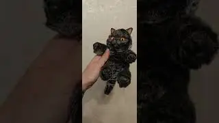 vk hugger toy's. Игрушка ручной работы в смешанной технике. Игрушка котик ✨️