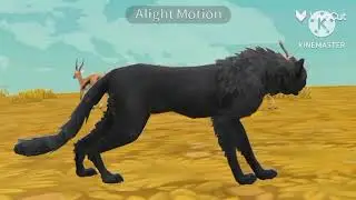 Wcmv (чит.опис.)