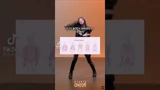 itzy body shapes/types 