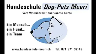 Hundeschule, Meuri`s mental Dog Art,Verhaltenstherapie, Aggressionsverhalten,Leinenführigkeit