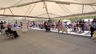 CACIB Omsk 08.05.2021
