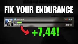 How to Get ENDURANCE XP EVERY TIME (Escape From Tarkov)