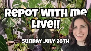 Repot Hoya, Monstera, Philodendron & Anthurium With Me LIVE!!! 🌿✨️ this Sunday, July 28th at 2pm ET