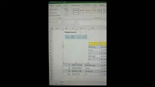 Add a Slicer to the table in Excel #shorts #trendingshorts