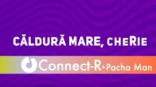 Connect-R ft. Pacha Man - Mare caldura (MIDIOTS Rework)
