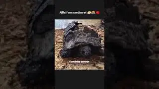 kimse lütfen sessiz kalmasın ve  bunu yaysın yardım edebilen lütfen etsin