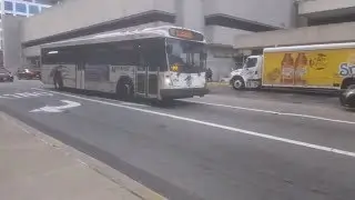 NJ Transit Buses @ Journal Square (Part 1) | Another Transit Video
